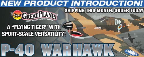 P-40 Warhawk R/C model airplane